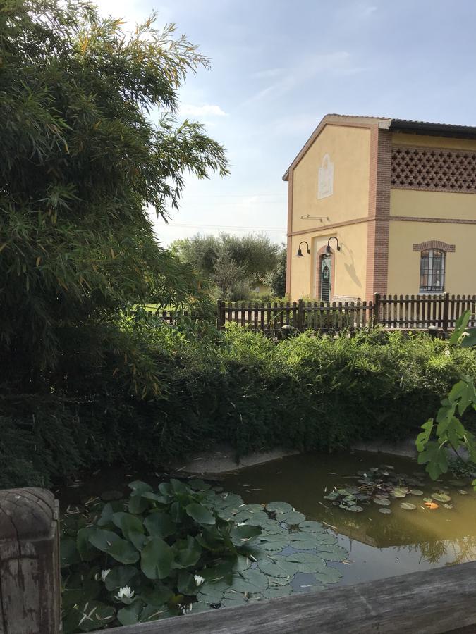 Agriturismo Corte Salandini Hotel Ponti sul Mincio Buitenkant foto